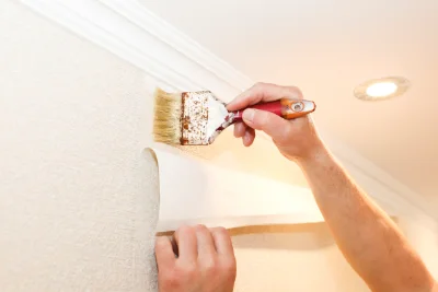 Pose de papier peint à Puéchabon — revêtements muraux et toiles de verre